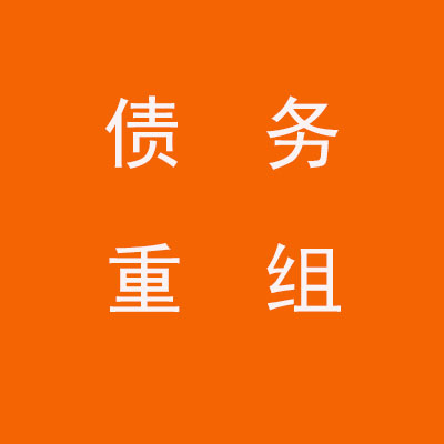 船山个人债务重组优化